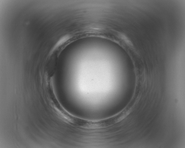 X0000083031402200702021114
