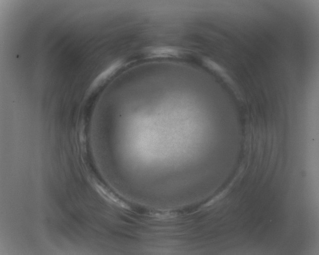 X0000083031403200702021114