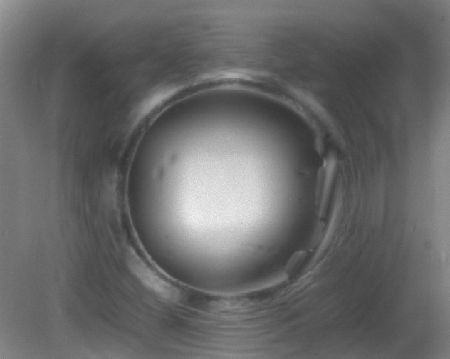 X0000083031404200702021114