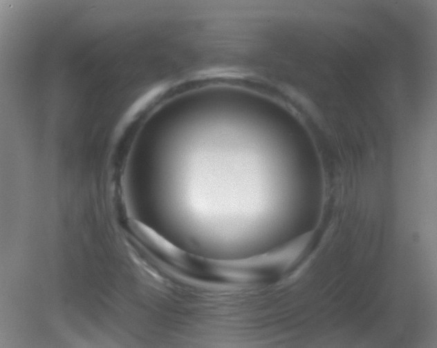 X0000083031406200702021114