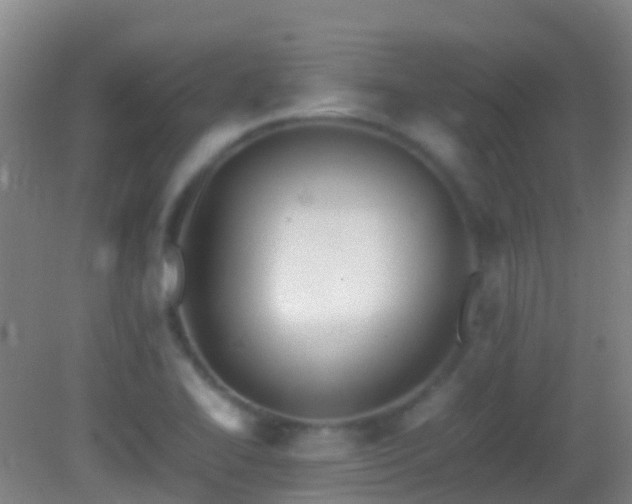 X0000083031414200702021114