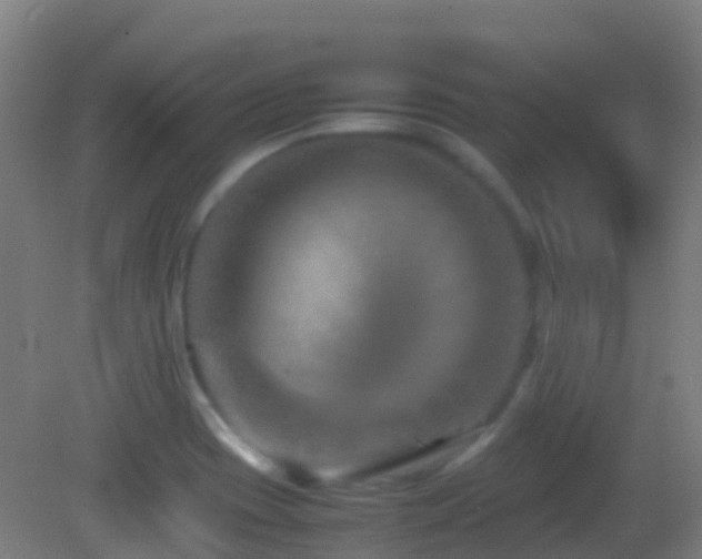 X0000083031417200702021114
