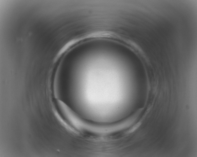 X0000083031422200702021114