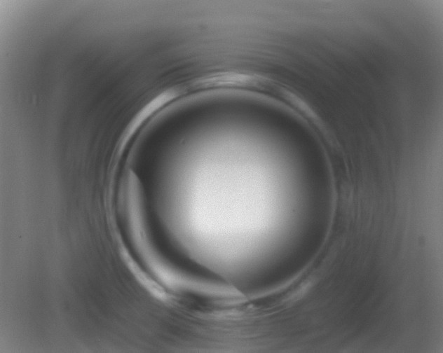 X0000083031426200702021114