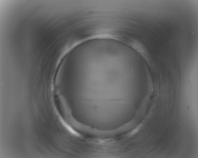 X0000083031428200702021114