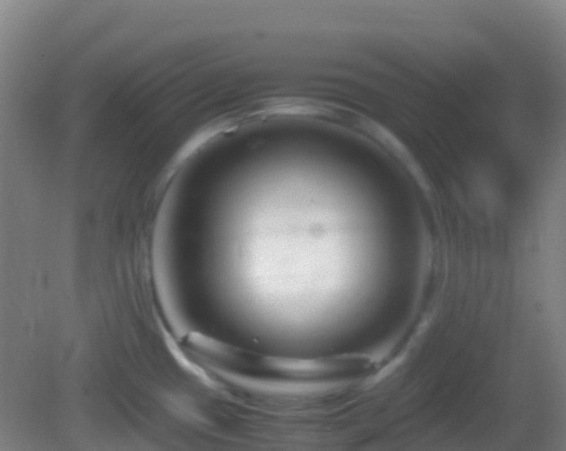 X0000083031433200702021114