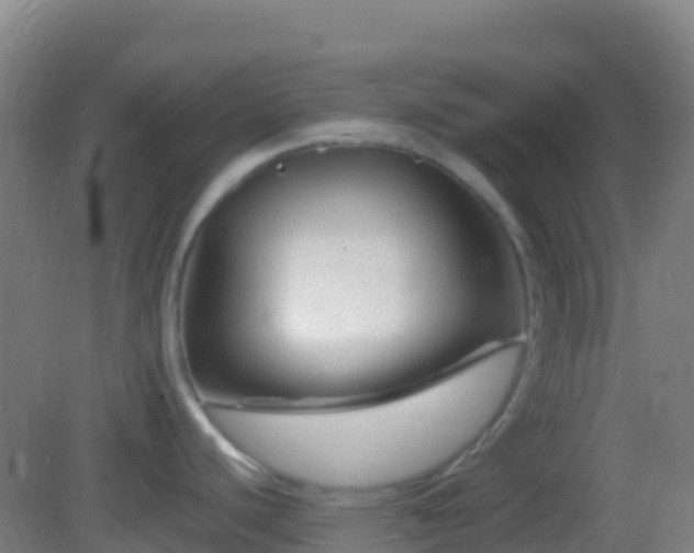 X0000083031440200702021114