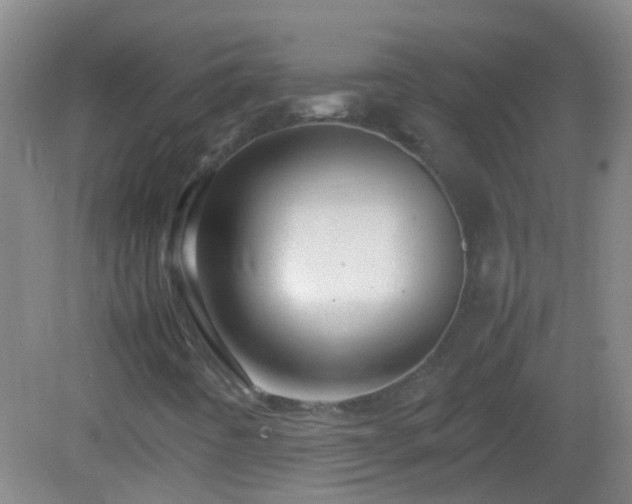 X0000083031442200702021114