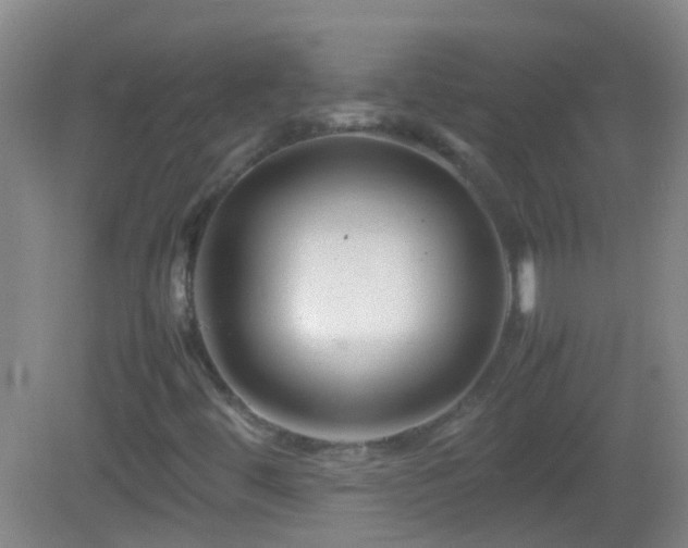 X0000083031444200702021114