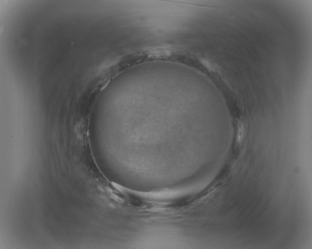 X0000083031445200702021114