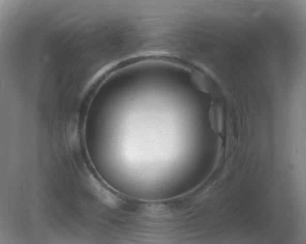 X0000083031452200702021113