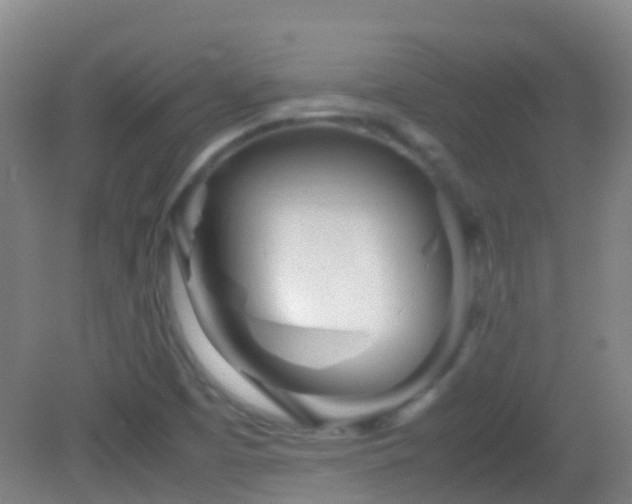 X0000083031457200702021113