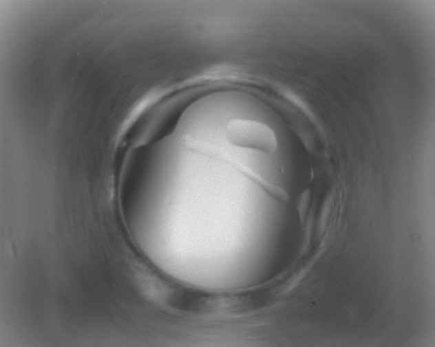 X0000083031461200702021113