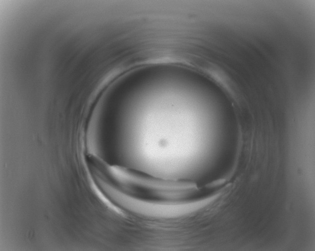 X0000083031476200702021113