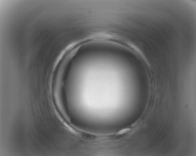 X0000083031477200702021113