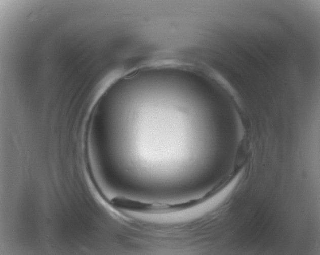 X0000083031483200702021113