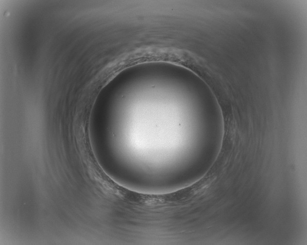 X0000083031489200702021112