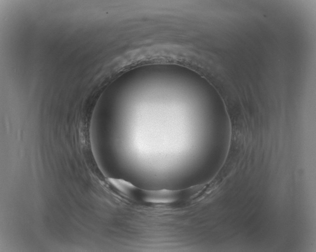X0000083031490200702021112