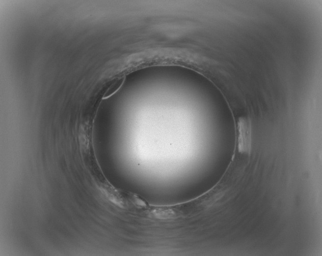 X0000083031491200702021112