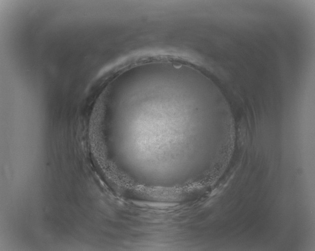 X0000083031494200702021112