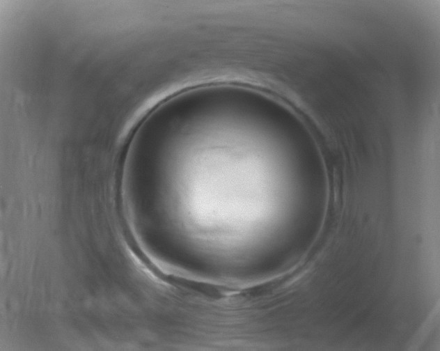 X0000083031500200702021112