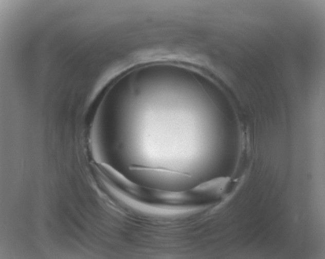 X0000083031501200702021112
