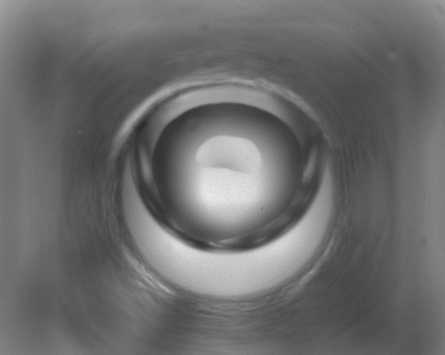 X0000083031502200702021112