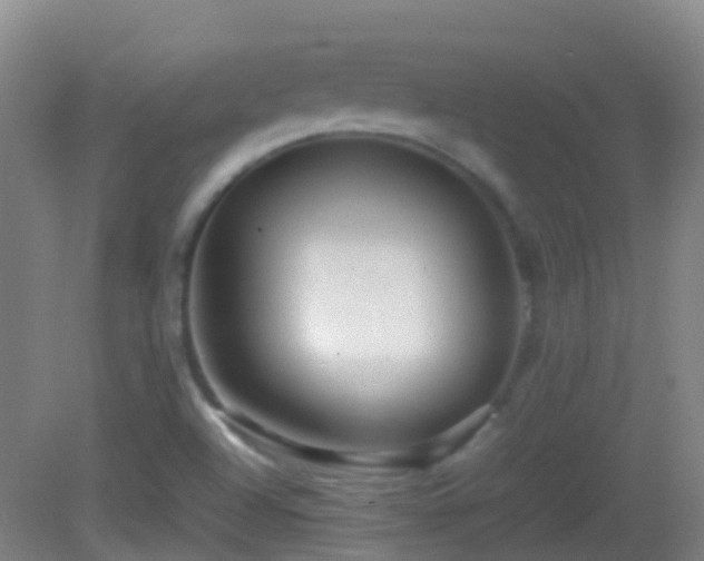 X0000083031504200702021112