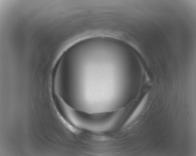 X0000083031508200702021112