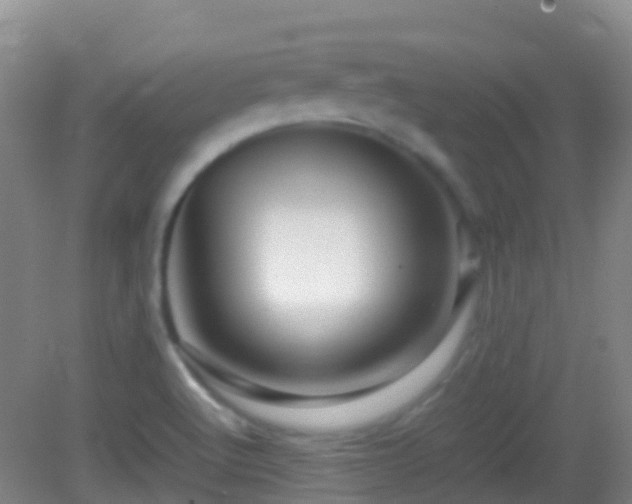 X0000083031512200702021112