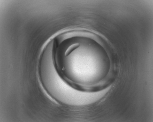 X0000083031518200702021112