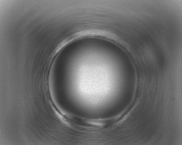 X0000083031521200702021113