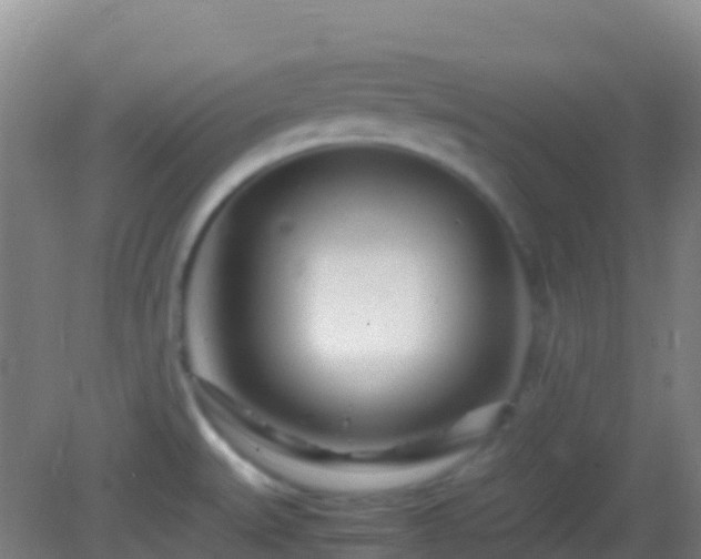 X0000083031527200702021113