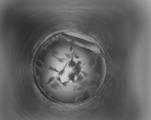 X0000083030002200702091355