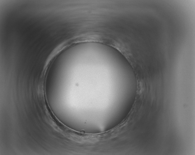 X0000083030004200702091355