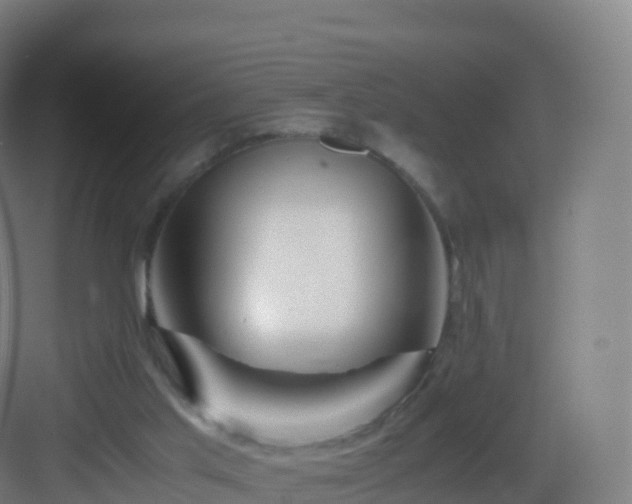 X0000083030013200702091355