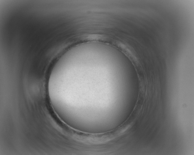 X0000083030016200702091355