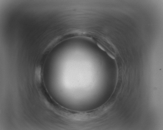 X0000083030024200702091354