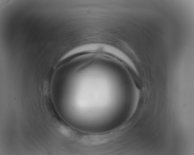 X0000083030025200702091354