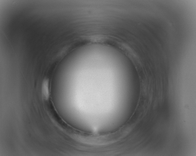 X0000083030028200702091354
