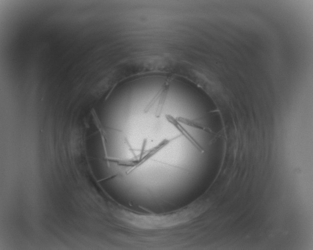 X0000083030034200702091354