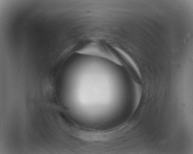 X0000083030040200702091354