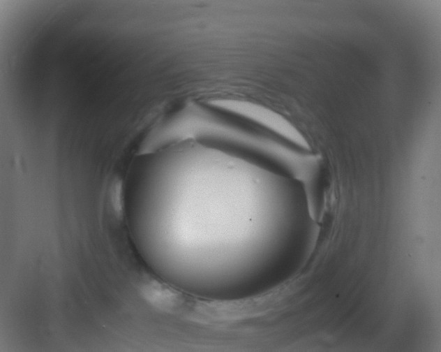 X0000083030041200702091354