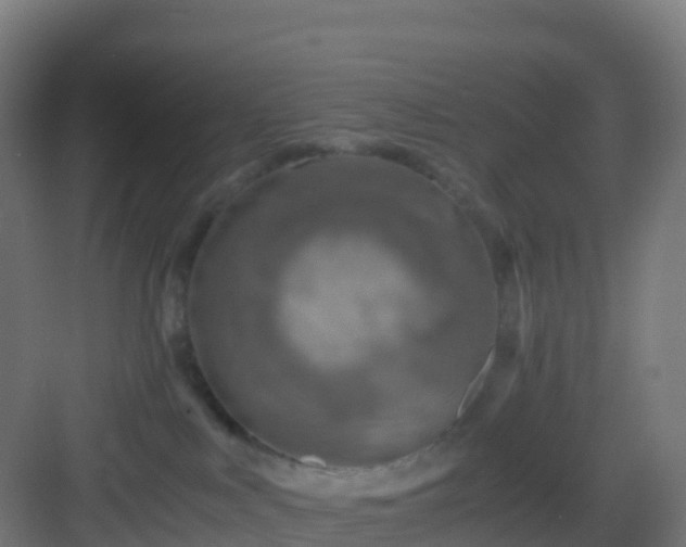 X0000083030043200702091354