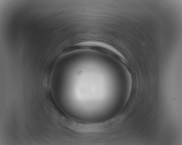 X0000083030044200702091354