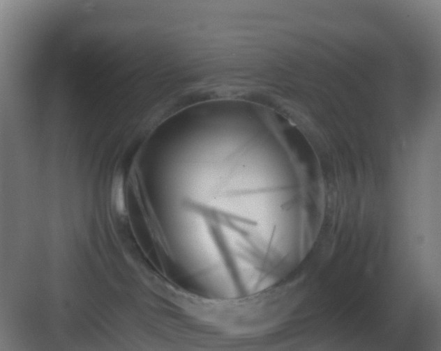 X0000083030046200702091354