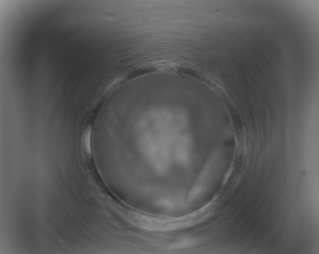 X0000083030047200702091354