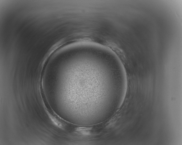 X0000083030051200702091353