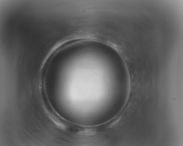 X0000083030056200702091353
