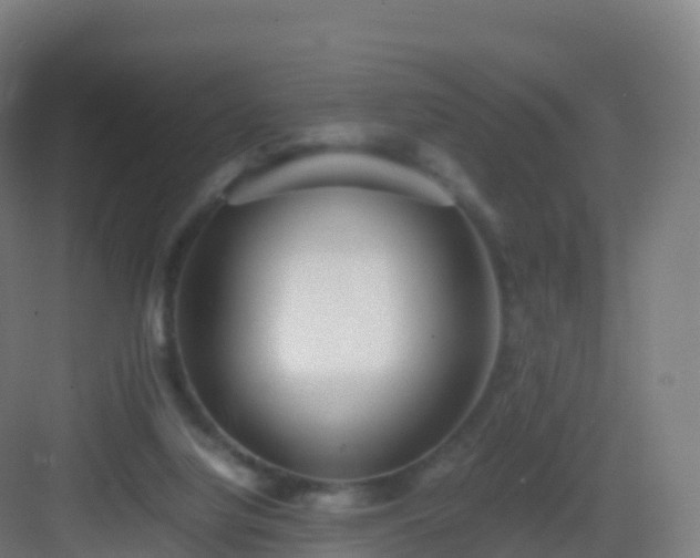 X0000083030068200702091353